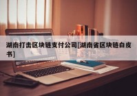 湖南打击区块链支付公司[湖南省区块链白皮书]